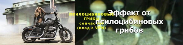 а пвп мука Пионерский