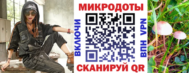 купить наркотики цена  Южа  Псилоцибиновые грибы Magic Shrooms 